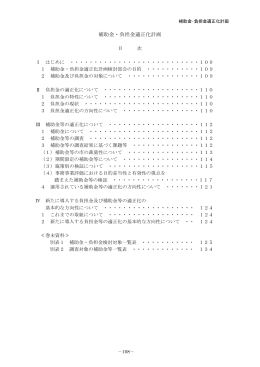 補助金・負担金適正化計画〔PDF： 416KB〕
