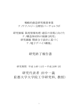 精密分子設計に基づくナノ電子デバイス構築