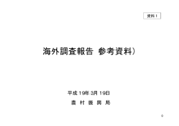 海外調査報告（参考資料）（PDF：371KB）