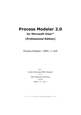 Process Modeler 2.0 for Microsoft Visio™ (Professional Edition)