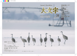 Lawyer`s Newsletter