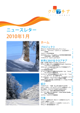 2010年1月