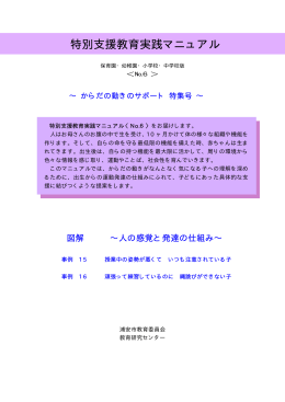 特別支援教育実践マニュアル（保育園・幼稚園