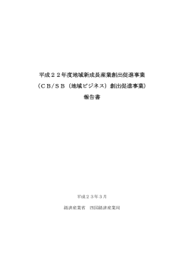 平成22年度地域新成長産業創出促進事業 （CB/SB（地域ビジネス）創出