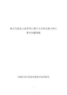 独立行政法人改革等に関する分科会第4WG 第6回議事録