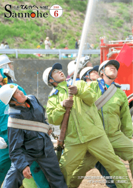 三戸地区消防団連合観閲式会場にて すみやの河川公園（南部