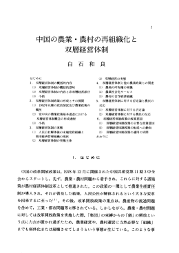 中国の農業・農村の再組織化と双層経営体制（PDF：3341KB）