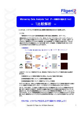 － 1比較解析 －