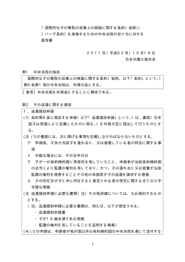 意見書全文 - 日本弁護士連合会