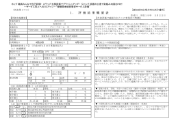 1． 評 価 結 果 概 要 表