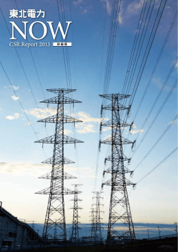 詳細版 - 東北電力
