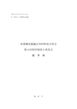 議事録（PDF：313KB）