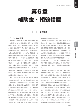 第6章 補助金・相殺措置（PDF形式：555KB）