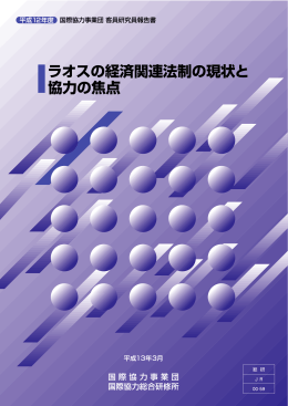 PDF/512KB - JICA Research Institute