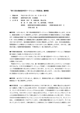 会議記録（PDF：141KB）