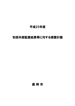 措置計画（PDF 514.3KB）
