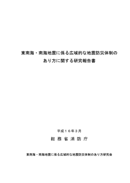 東南海報告書 - 総務省消防庁