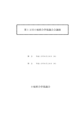 第12回会議録PDFファイル