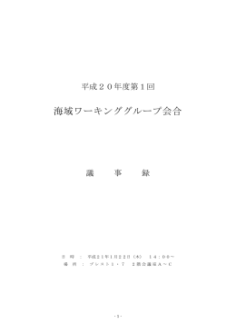 平成20年度第1回 海域ワーキンググループ 議事録