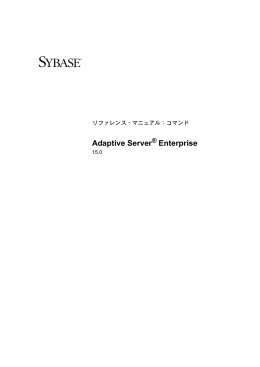 Adaptive Server Enterprise