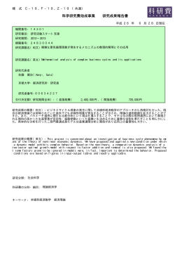 科学研究費助成事業 研究成果報告書