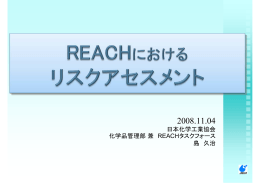 【参考資料】 REACHにおけるリスクアセスメント