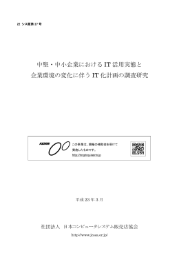 平成22年度コンピュータシステムの流通等調査研究補助事業