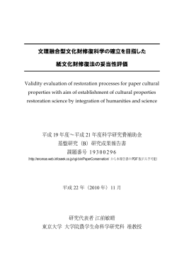 文理融合型文化財修復科学の確立を目指した 紙文化財修復法の妥当性