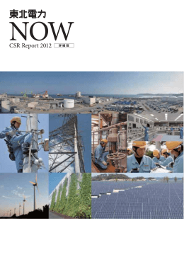 詳細版 - 東北電力