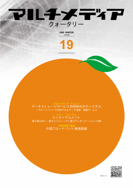 19 - マルチメディア振興センター