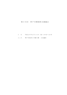 第39回会議録（PDF形式：370KB）