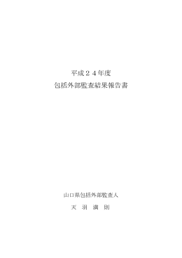 H24包括外部監査（全体） (PDF : 3MB)