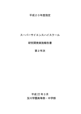 (2年次）平成21年度研究開発 実施報告書(pdf．．．3.4M)