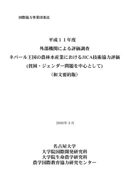 要約版 ダウンロード（PDF/196KB）