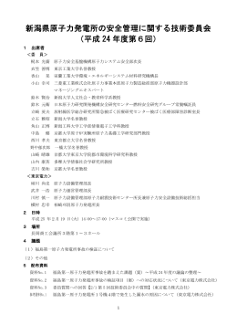 議事録（PDF形式 350 キロバイト）