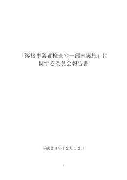 報告書 - 一般財団法人 発電設備技術検査協会 (JAPEIC)
