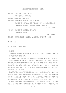 会議録（全文） [301KB pdfファイル]