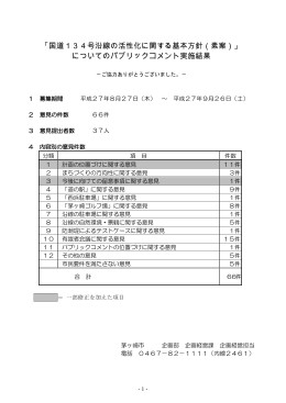 「国道134号沿線の活性化に関する基本方針（素案