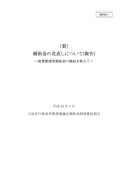 （案） 補助金の見直しについて(報告)