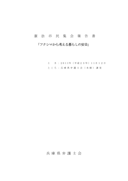 報告書(PDFファイル)