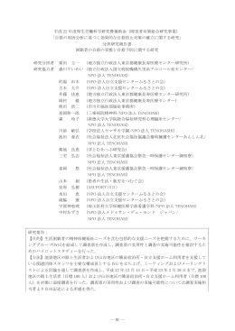 平成 22 年度厚生労働科学研究費補助金（障害者対策総合研究事業