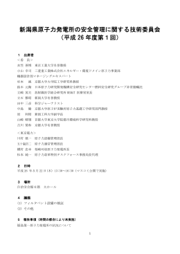 議事録（PDF形式 459 キロバイト）