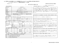 1． 評 価 結 果 概 要 表