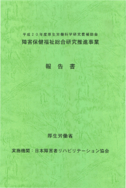 報 告 書 - 日本障害者リハビリテーション協会