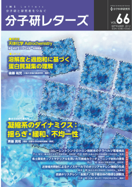 分子研レターズ66