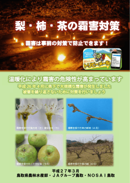 霜害対策パンフレット
