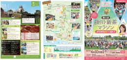 かけがわ愛いっぱい! - 第 10回掛川・新茶マラソン