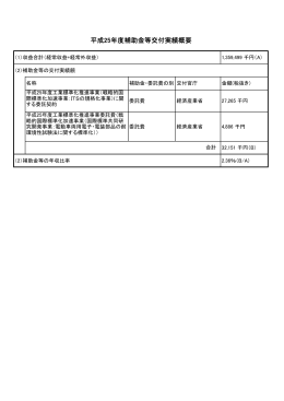 平成25年度補助金等交付実績概要