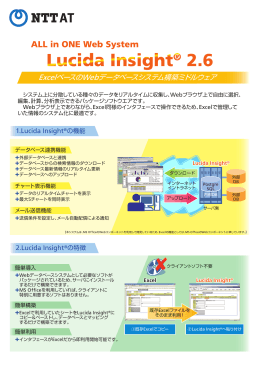 Lucida Insight 2.6 パンフレット