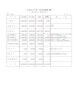 平 成 21 年 度 収支決算書（案）